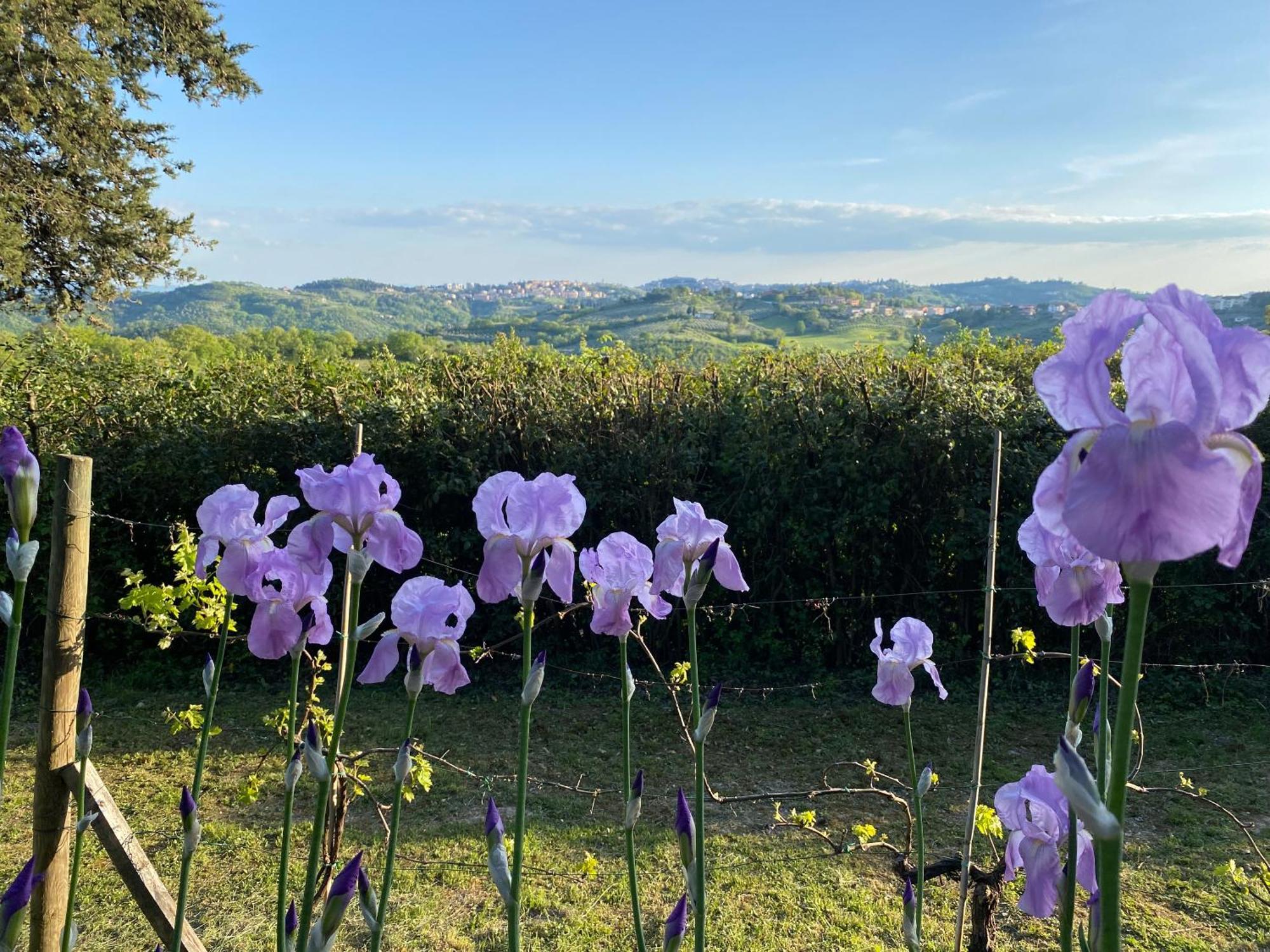Willa Relais Casamassima Perugia Zewnętrze zdjęcie